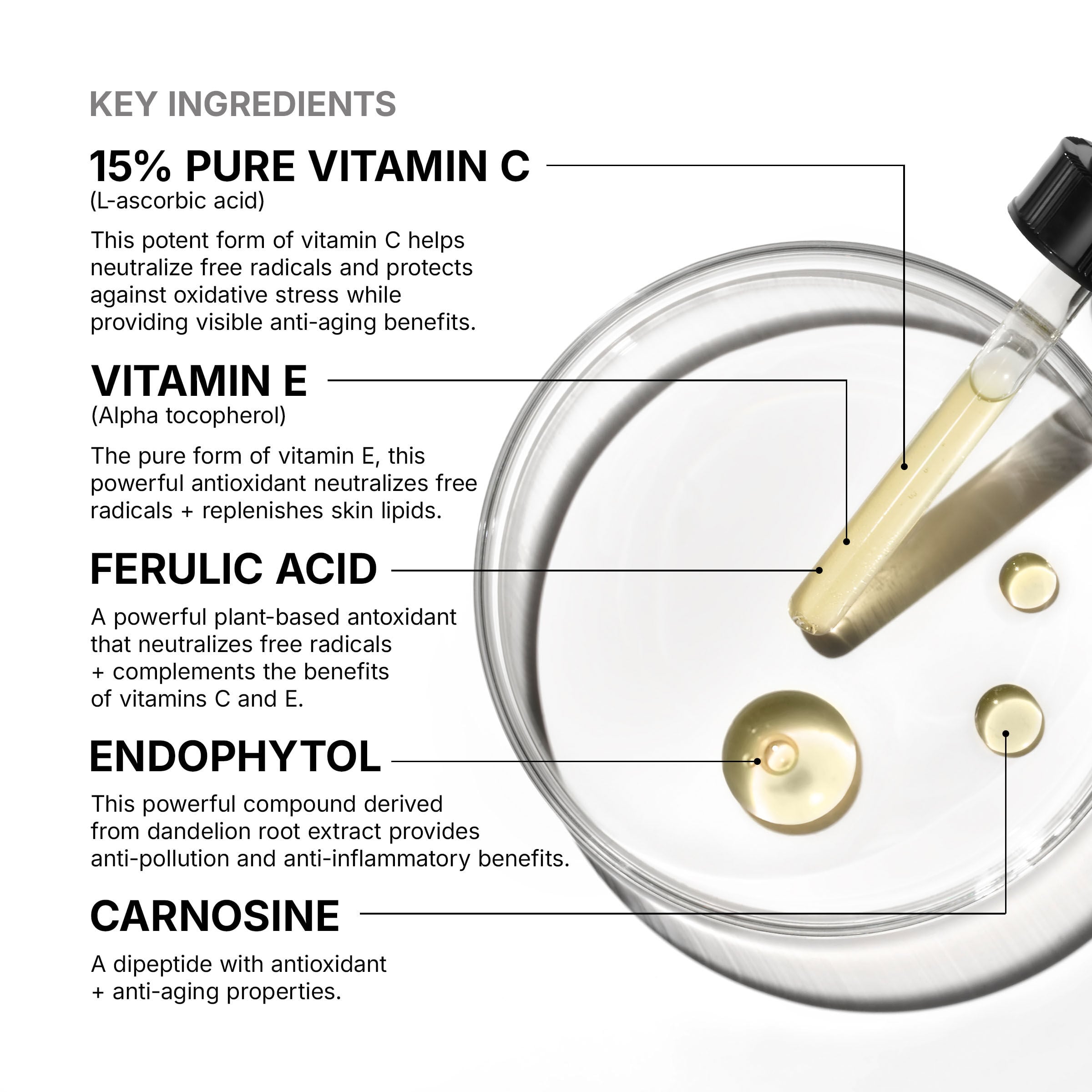 C E Ferulic key ingredients